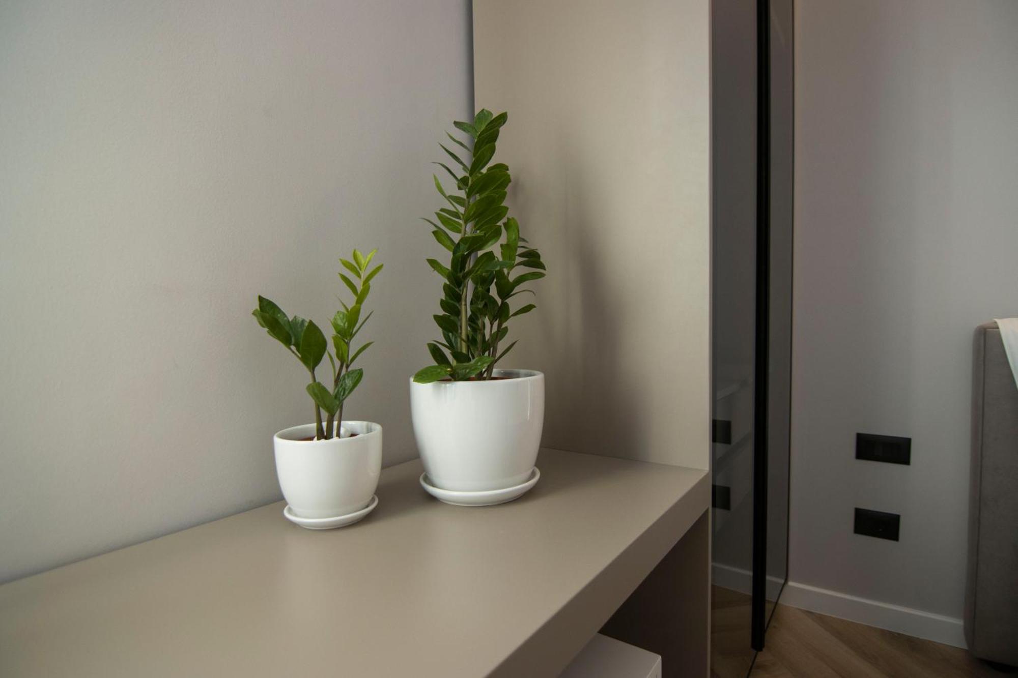Mina Luxury Rooms Tirana Extérieur photo
